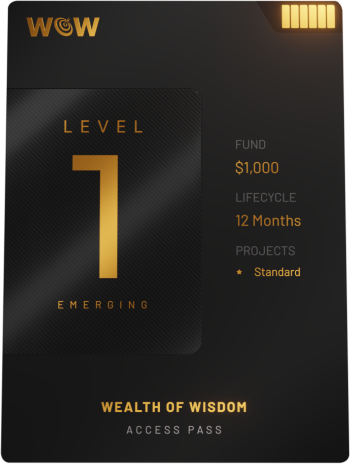 Level 1 – Emerging