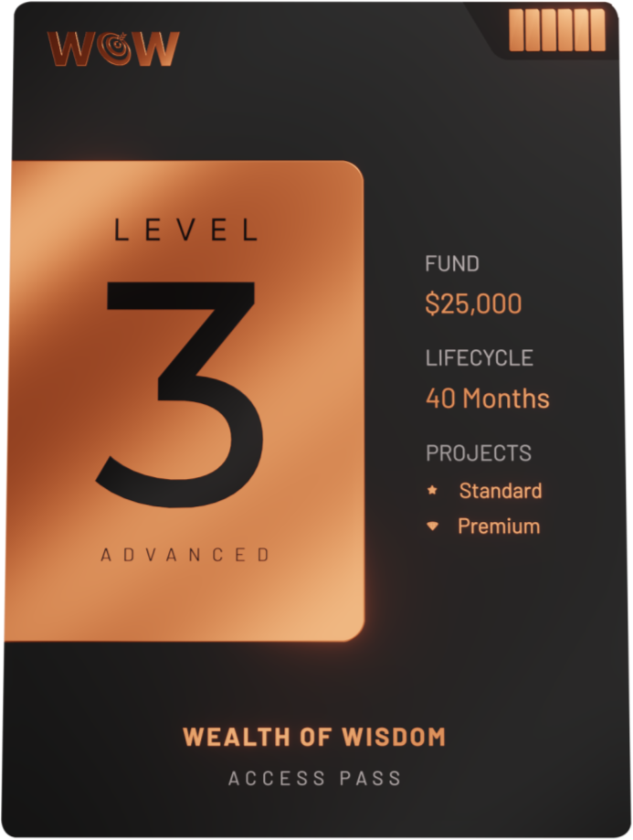 Level 3 – Advanced