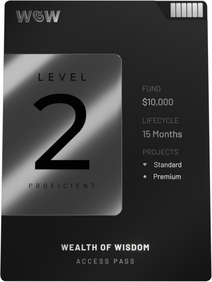 Level 2 – Proficient